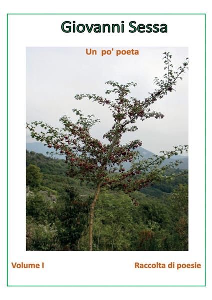 Un po' poeta. Vol. 1 - Giovanni Sessa - copertina