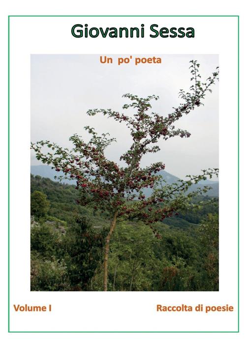 Un po' poeta. Vol. 1 - Giovanni Sessa - copertina