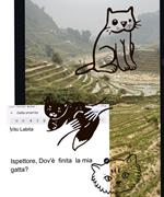 Ispettore, Dov'è finita la mia gatta?