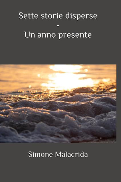 Un anno presente. Sette storie disperse - Simone Malacrida - copertina