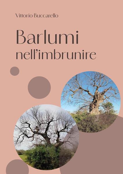 Barlumi nell'imbrunire - Vittorio Buccarello - copertina