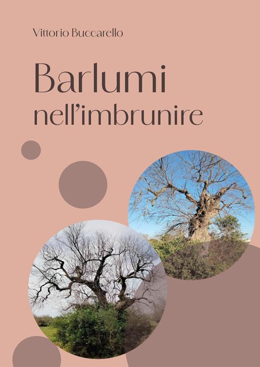 Barlumi nell'imbrunire - Vittorio Buccarello - copertina