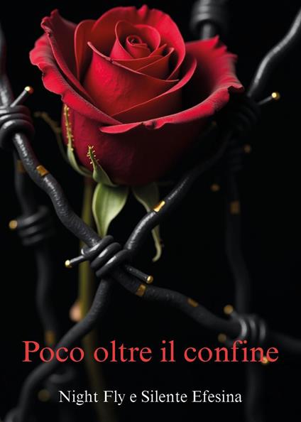 Poco oltre il confine - Night Fly,Silente Efesina - copertina