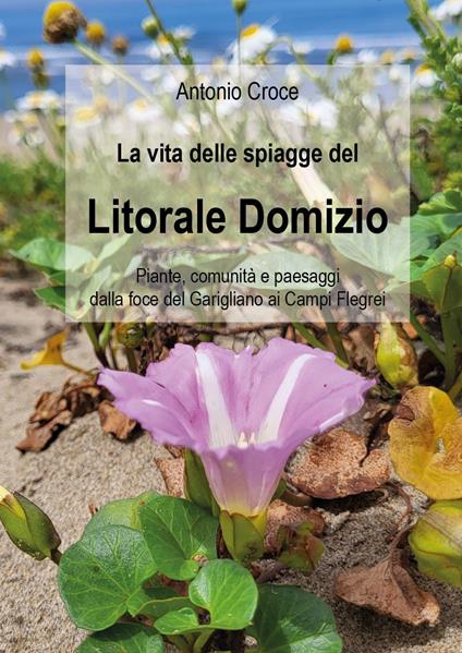 La vita delle spiagge del Litorale Domizio. Piante, comunità e paesaggi dalla foce del Garigliano ai Campi Flegrei - Antonio Croce - copertina