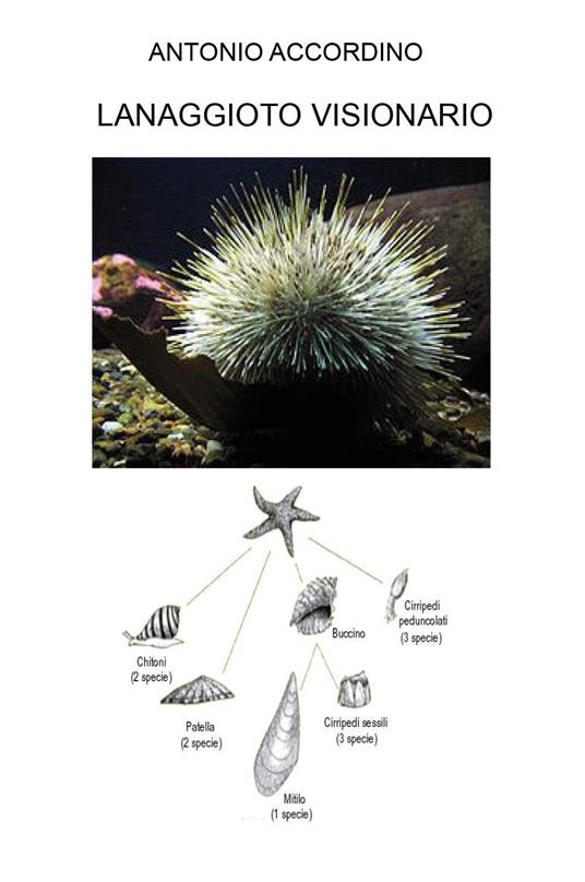 Lanaggioto visionario - Antonio Accordino - copertina