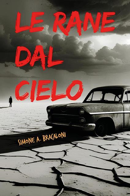 Le rane dal cielo - Simone Bracaloni - copertina