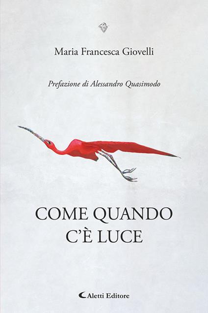 Come quando c'è luce - Maria Francesca Giovelli - copertina
