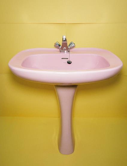 Cose Journal. The Sink - Giulia Nardi - copertina