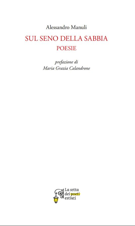 Sul seno della sabbia - Alessandro Manuli - copertina