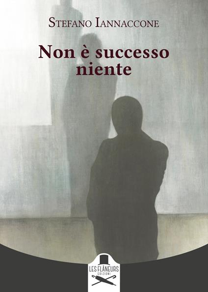 Non è successo niente - Stefano Iannaccone - copertina