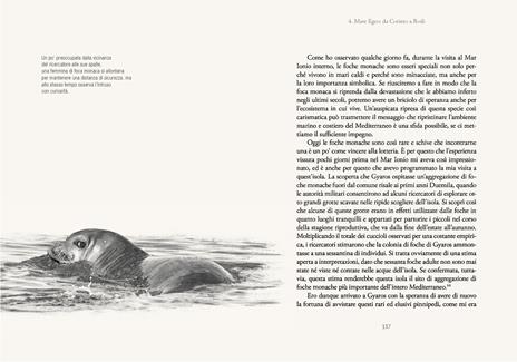 Meraviglie di un mare ferito. Viaggio di un ecologo intorno al Mediterraneo - Giuseppe Notarbartolo di Sciara - 5