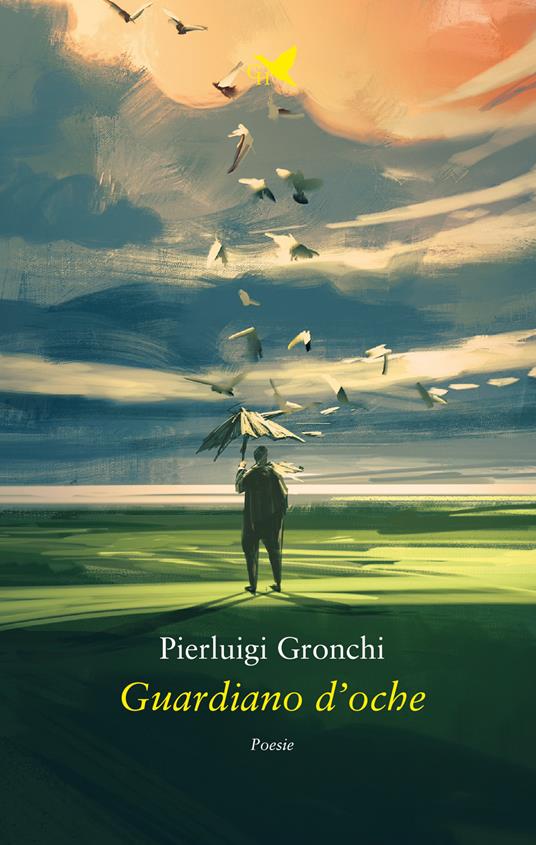 Guardiano d'oche - Pierluigi Gronchi - ebook