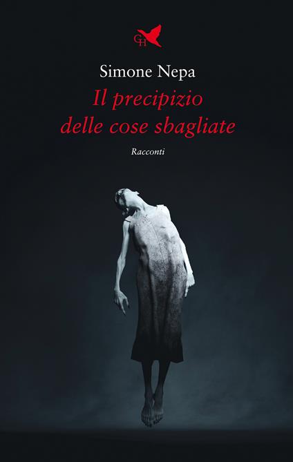 Il precipizio delle cose sbagliate - Simone Nepa - copertina