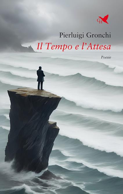 Il tempo e l'attesa - Pierluigi Gronchi - copertina
