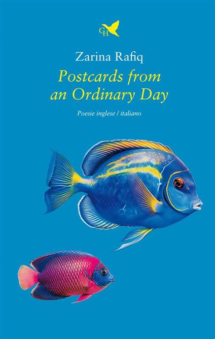 Postcards from an Ordinary Day - Zarina Rafiq - ebook