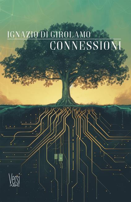 Connessioni - Ignazio Di Girolamo - copertina