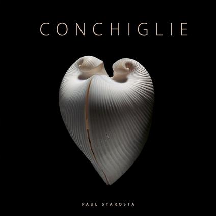 Conchiglie. Ediz. a colori - Paul Starosta,Jacques Senders - copertina