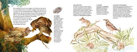 La famiglia allocchi. Ediz. a colori - Chiara Morosinotto,Davide Morosinotto - 4