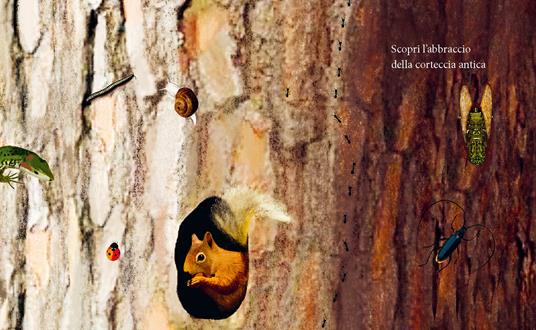 Prima di tagliare un albero. Ediz. a colori - Arianna Papini - 3