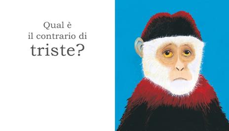 Grande gorilla, piccolo gorilla. Ediz. a colori - Anthony Browne - 2