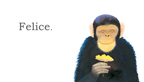 Grande gorilla, piccolo gorilla. Ediz. a colori - Anthony Browne - 3