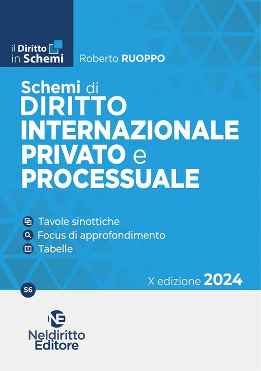 Schemi di diritto internazionale provato e processuale - Roberto Ruoppo - copertina