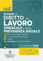 Schemi di diritto del lavoro, sindacale e della previdenza sociale