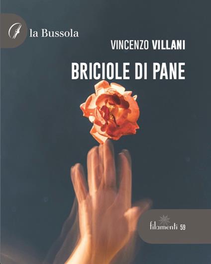 Briciole di pane - Vincenzo Villani - copertina