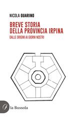 Breve storia della provincia irpina. Dalle origini ai giorni nostri