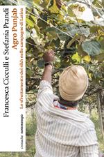 Agro Punjab. Lo sfruttamento dei sikh nelle campagne di Latina