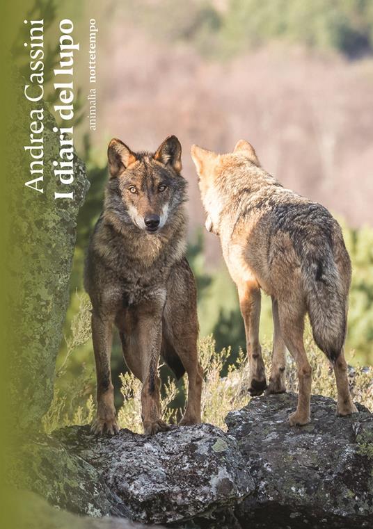 I diari del lupo - Andrea Cassini - copertina