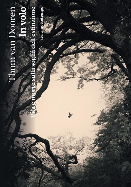 In volo. Vita e morte sulla soglia dell’estinzione - Thom Van Dooren - copertina