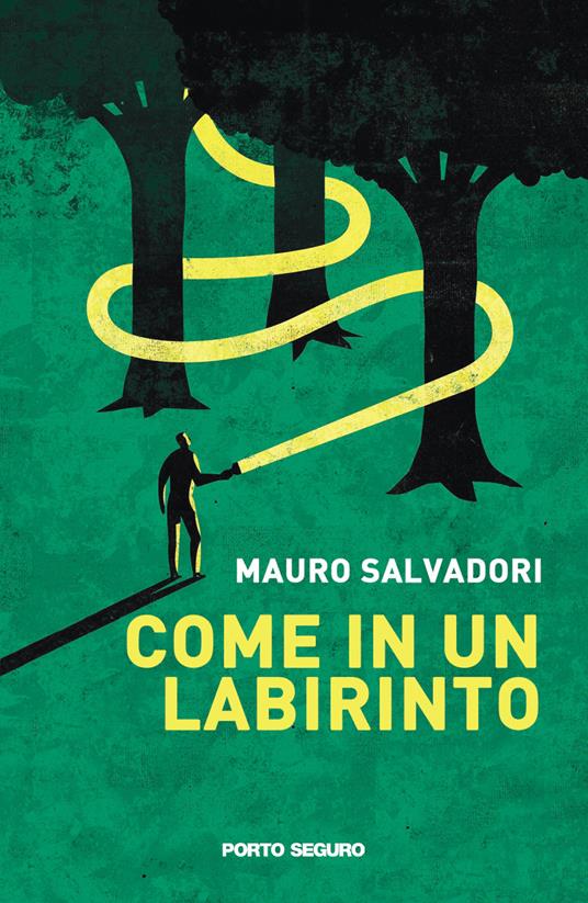 Come in un labirinto - Mauro Salvadori - copertina