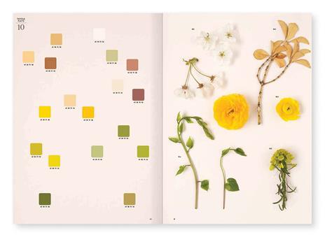 Chromatic herbarium - Massimo Gardone,Alessandra Muran - 4