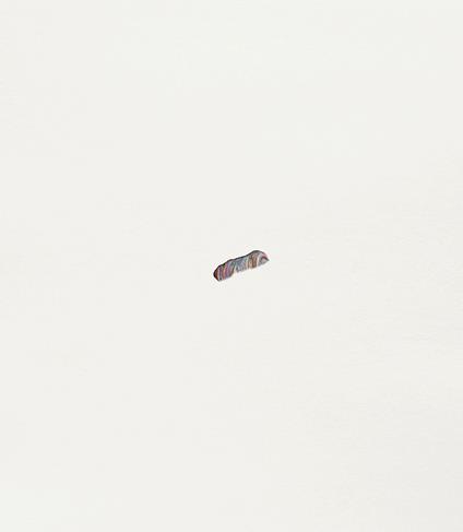 Maria Morganti. Catalogo della mostra (Torino, 30 ottobre 2024-16 marzo 2025) - copertina