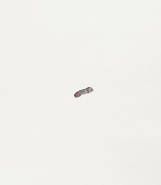 Maria Morganti. Catalogo della mostra (Torino, 30 ottobre 2024-16 marzo 2025) - copertina