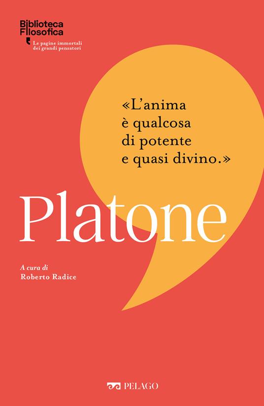 Platone - Roberto Radice - ebook
