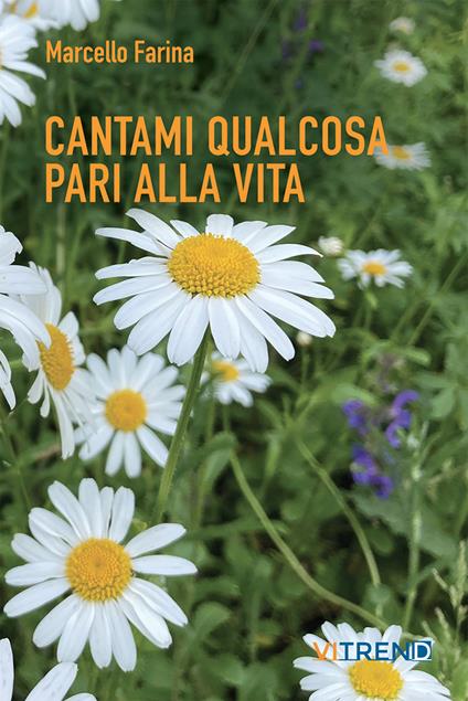 Cantami qualcosa pari alla vita - Marcello Farina - copertina