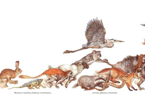 Il corteo degli animali. Ediz. a colori - Jane Yolen - 4