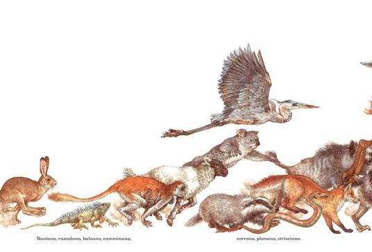 Il corteo degli animali. Ediz. a colori - Jane Yolen - 4