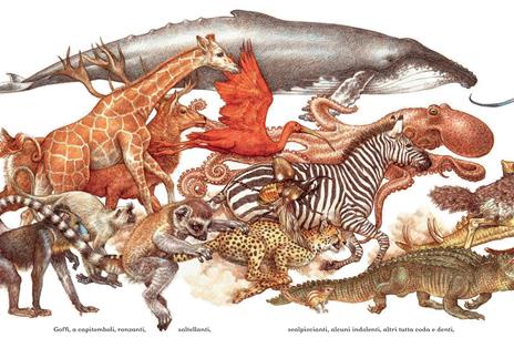 Il corteo degli animali. Ediz. a colori - Jane Yolen - 5