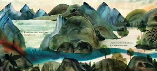 Un sasso è una storia. Ediz. a colori - Leslie Barnard Booth - 2