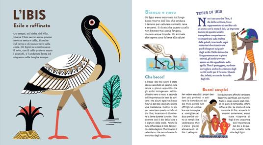 Animali d'Egitto. Un bestiario antichissimo - Martine Laffon - 3