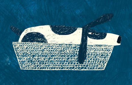 Zitto zitto, piano piano. Ediz. a colori - Tini Malina - 5