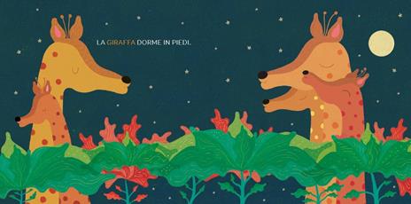 Come dormono. Ediz. a colori - Jorge Luján - 2