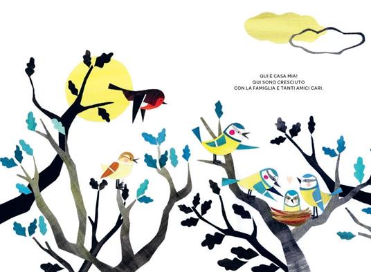 Qui. Ediz. a colori - Séverine Duchesne - 2