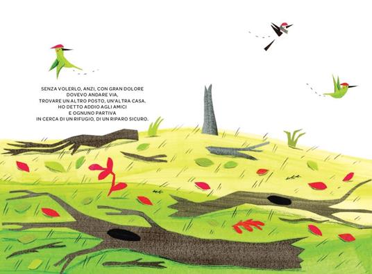 Qui. Ediz. a colori - Séverine Duchesne - 5