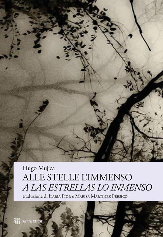 Alle stelle l’immenso-A las estrellas lo inmenso. Ediz. bilingue - Hugo Mujica - copertina