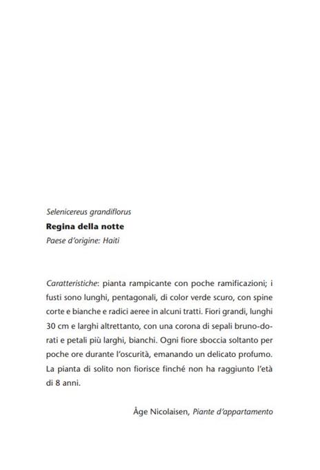 Occhi d'Argento - Cécilie Eken - 2