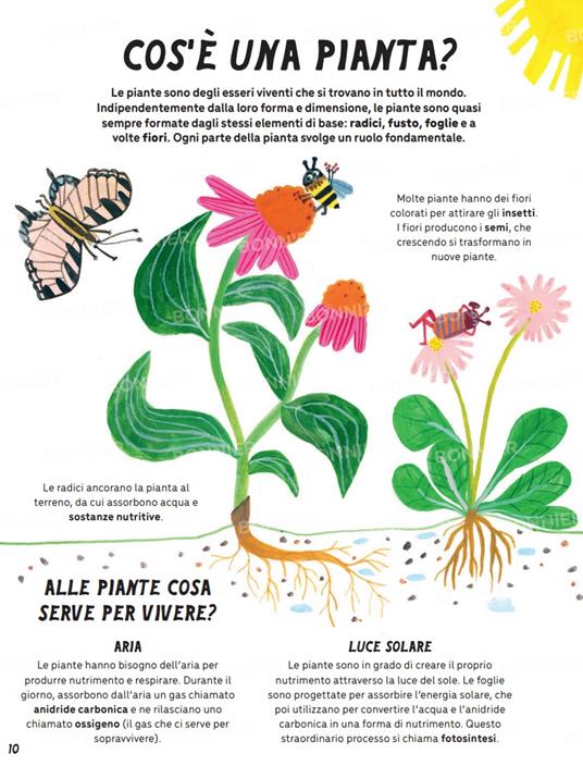 Il manuale per piccoli giardinieri - Michael Holland - 5